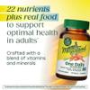 MegaFood One Daily Multivitamin for Women and Men, Immune Support Supplement with Real Food, Vitamin C & Vitamin B, Bone Health, Cellular Energy Metabolism, Vegetarian, Non-GMO, 60 Tablets view 3