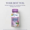 SOLARAY Korean Ginseng Root Extract - Herbal Support for Occasional Stress, Energy, and Physical Endurance - 5% Ginsenosides - Vegan, Lab Verified - 60 Servings, 60 VegCaps view 3
