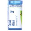 Boiron Calendula Officinalis 30C for Minor Wounds, Cuts or Burns - 80 Pellets view 1