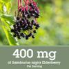 Quantum Health Black Elderberry Liquid Extract Sambucus Nigra Immune Support Formula 700mg - Daily Wellness Boost of Potent Antioxidants for Women & Men - High Dose, Fast Absorption, Vegan - 2 Fl Oz view 3