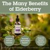 Quantum Health Black Elderberry Liquid Extract Sambucus Nigra Immune Support Formula 700mg - Daily Wellness Boost of Potent Antioxidants for Women & Men - High Dose, Fast Absorption, Vegan - 2 Fl Oz view 4