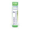 Boiron Kali Muriaticum 6X for Nasal Congestion with White Nasal Discharge - 80 Pellets view 1