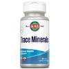 Kal Trace Minerals Actisorb Tablets, 30 Count view 1