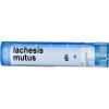 Lachesis Mutus 6C MD Boiron 1 Tube Pellet view 1