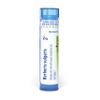 Boiron Berberis Vulgaris 3C for Skin Rash with Round, Red Patches & Thin Flakes - 80 Pellets view 1