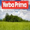 Yerba Prima Bilberry Extra Strength, 50 Caps - Maximum Absorption, Convenient One Pill A Day, USA Made, Promotes Eye Health, Over 30 Years of Research, A Brand You Can Trust view 4