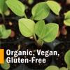 Herb Pharm Certified Organic Gentian Liquid Extract for Digestive Support - 4 Ounce view 3
