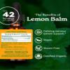 Herb Pharm Lemon Balm Liquid Extract: Organic Calming Choice for Nervousness, Nerve-Soothing Support, Fast-Absorbing & Sugar-Free Lemon Balm Tincture, Up to ~3 Week Supply, 1 oz * view 2