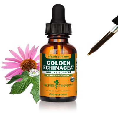 Herb Pharm Certified Organic Golden Echinacea Liquid Extract for Immune System Support - 1 Ounce (DGOLDEN01)