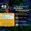 Herb Pharm Certified Organic Golden Echinacea Liquid Extract for Immune System Support - 1 Ounce (DGOLDEN01) view 2