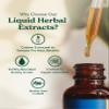 Herb Pharm Certified Organic Golden Echinacea Liquid Extract for Immune System Support - 1 Ounce (DGOLDEN01) view 3