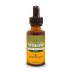 Herb Pharm Pipsissewa Liquid Extract for Urinary System Support - 1 Ounce view 1