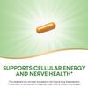 Nature's Way B-50 Complex, Supports Cellular Energy & Nerve Health*, 8 B-Vitamins, With Folic Acid, Biotin, Niacin & More, Gluten Free, 100 Capsules (Packaging May Vary) view 4