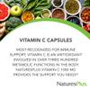NaturesPlus Vitamin C 1000 mg - 90 Capsules - Supports Immune Health, Energy & Antioxidant Protection - Vegetarian, Gluten Free - 90 Servings view 3