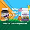 NaturesPlus Animal Parade Source of Life Children's Chewable Multivitamin - Grape Flavor - 90 Animal Shaped Tablets - Promotes Health and Wellbeing - Vegetarian, Gluten-Free - 45 Servings view 2