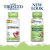 SOLARAY Echinacea Purpurea Root 440 mg | Healthy Immune & Respiratory Function Support | 100 VegCaps view 2