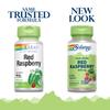 SOLARAY Red Raspberry Leaves Capsules, 400 mg | 100 Count view 2