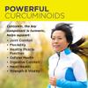 Nature's Life Turmeric Ginger Joint Ease | Non-GMO | 100 Gelatin Capsules view 2