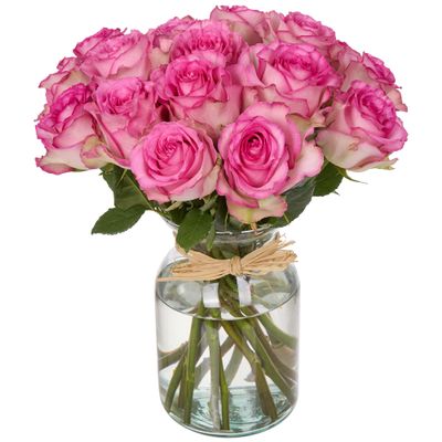 18 Pink Roses Bouquet Fresh Cut Flowers-Lasting Roses for Gifts, Birthdays & Anniversaries Falcon Farms Inc.