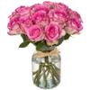 18 Pink Roses Bouquet Fresh Cut Flowers-Lasting Roses for Gifts, Birthdays & Anniversaries Falcon Farms Inc. view 1