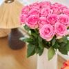 18 Pink Roses Bouquet Fresh Cut Flowers-Lasting Roses for Gifts, Birthdays & Anniversaries Falcon Farms Inc. view 4