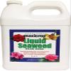 Maxicrop 1-Liter Seaweed Plus Iron view 1