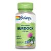 SOLARAY Burdock Root 425 mg - Healthy Liver, Kidney, Digestion, Circulation, Joint & Skin Support - Antioxidant Activity - Non-GMO - 100 VegCaps view 1