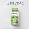 SOLARAY Burdock Root 425 mg - Healthy Liver, Kidney, Digestion, Circulation, Joint & Skin Support - Antioxidant Activity - Non-GMO - 100 VegCaps view 3