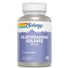 SOLARAY Glucosamine Sulfate 500 mg | Healthy Joint Flexibility & Resiliency Support (60 Serv, 120 CT) view 1
