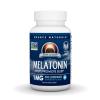 Source Naturals Melatonin Helps Promote Sleep* 1 mg - 300 Peppermint Flavored Lozenges view 1