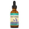 Herbs for Kids Sweet Echinacea, Kids Healthy Immune System Support, 4 fl oz view 1