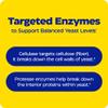 Enzymedica, Candidase, Digestive Enzymes for Gentle Cleansing Support, Gut Health & Digestion, 42 Count view 4