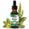 Nature's Answer Mullein Leaf Herbal Supplement - 1oz, Non-GMO, Gluten-Free view 1