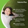 NaturesPlus Childrens Vita-Gels Multivitamin, Natural Orange Flavor - 90 Softgels - Gluten Free - 90 Servings view 4