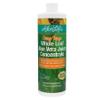 Aloe Life - Whole Leaf Aloe Vera Juic, Certified Organic, Gluten-Free (Orange Papaya, 16 oz) view 1