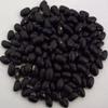 Organic Black Turtle Beans 5 lbs. Bulk view 1