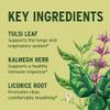 Banyan Botanicals Immune Strong  Organic Supplement with Turmeric & Tulsi  Ayurvedic Immune Formula That Supports The Body's Natural Defenses*  90 Tablets  Non-GMO Sustainably Sourced Vegan view 2