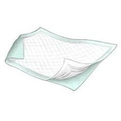 Durasorb Disposable Underpads - 23" x 24" - Case of 200