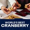 Ocean Spray Craisins Original Dried Cranberries, Dried Fruit, 6 Oz Pouch view 3