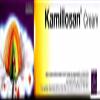 Kamillosan Ointment 20g ointment by Kamillosan view 1
