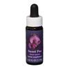 Flower Essence Services Essence, Sweet Pea, 0.25 Ounce view 1