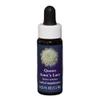 Flower Essence Services Herbal Supplements Essence, Queen Anne's Lace, 0.25 Ounce