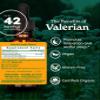 Herb Pharm Valerian Liquid Extract: USDA Organic Calming Valerian for Sleep & Relaxation, Fast-Absorbing Liquid Herbal Supplement with Valerian Root & Rhizome, Up to ~3 Week Suppl, 1 oz* view 2