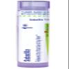 Boiron Sabadilla 1M for Itchy Throat Due to Hay Fever - 80 Pellets view 1