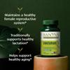 Banyan Botanicals Shatavari Tablets  Organic Asparagus Racemosus Root  Rejuvenating Adaptogen Tonic That Supports a Healthy Reproductive System*  90 Tablets  Non GMO Sustainably Sourced Vegan view 2