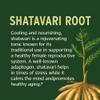 Banyan Botanicals Shatavari Tablets  Organic Asparagus Racemosus Root  Rejuvenating Adaptogen Tonic That Supports a Healthy Reproductive System*  90 Tablets  Non GMO Sustainably Sourced Vegan view 3