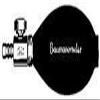Bulb & Valve For Baum Blood Pressure view 1