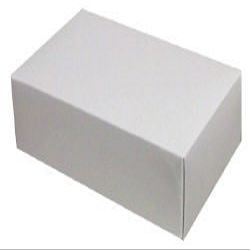 1 Pound 2 Layer White Candy Box