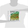 Kasugai Roasted Hot Wasabi Flavor Green Peas (Japanese Import) view 4