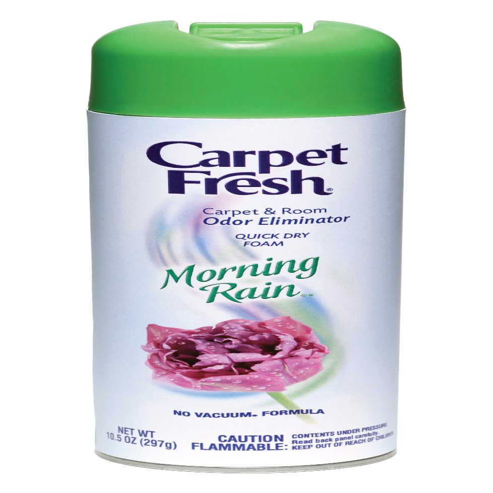 Carpet Fresh Quick-Dry Foam, Morning Rain, 10.5 OZ Morning Rain 10.5 Ounce (Pack of 1)